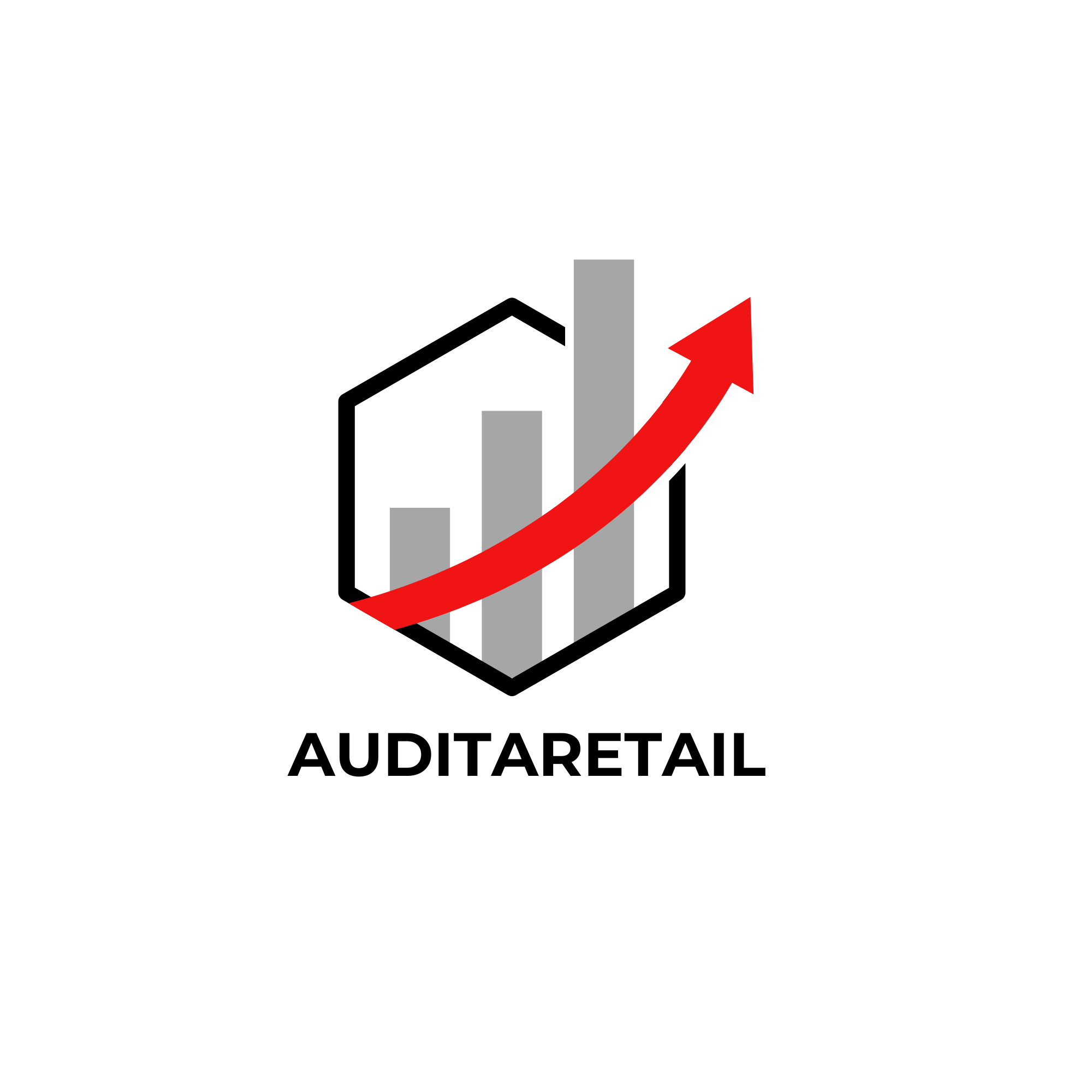 AuditLogistix | Auditoría en Retail y Presencia de Marca